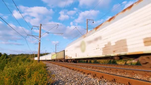 Un treno merci che spedisce roba a lunga distanza — Video Stock