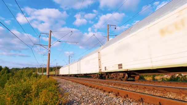 Ein Güterzug, der Schifffahrt auf einer langen Strecke macht — Stockvideo