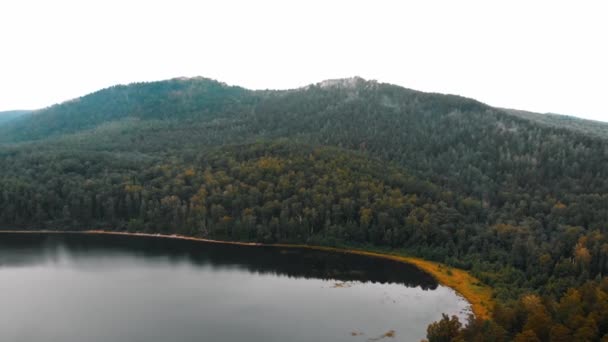 Landschaft aus dichtem Nadelwald und Teich — Stockvideo