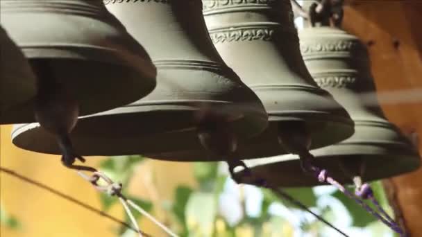 Деревянное религиозное здание - человек звонит в несколько колоколов фиолетовыми веревками — стоковое видео