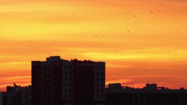 Kırmızı turuncu ve sarı tonlarda sabah gökyüzü - binaların siluetleri