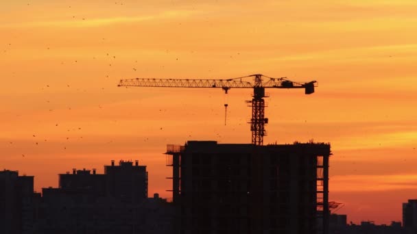 Céu de manhã adiantado de sombras vermelhas e cor-de-laranja - silhuetas de edifícios e guindaste de levantamento — Vídeo de Stock