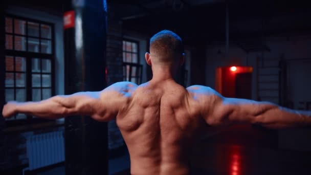 Starker Mann, der im Fitnessstudio steht und seine Hände und Rückenmuskeln zeigt — Stockvideo