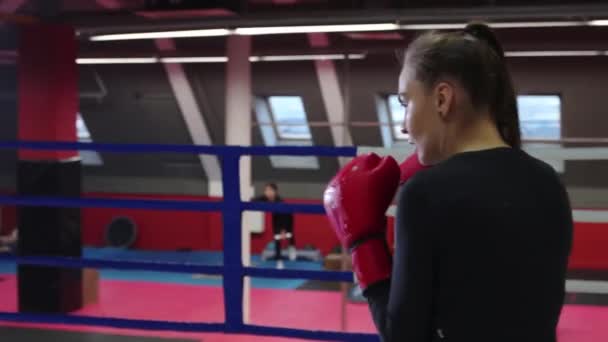 Giovane bella donna che allena la sua boxe sul ring - shadow boxing — Video Stock