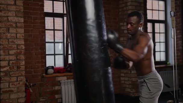 Zwarte atletische shirtloze jongeman bokser training ponsen op de bokszak — Stockvideo
