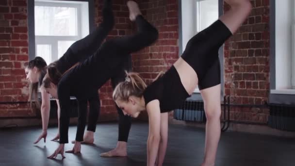 Estiramiento: tres jóvenes mujeres flexibles apoyadas en sus manos y levantando una pierna hacia arriba y luego quitando los brazos del suelo — Vídeos de Stock