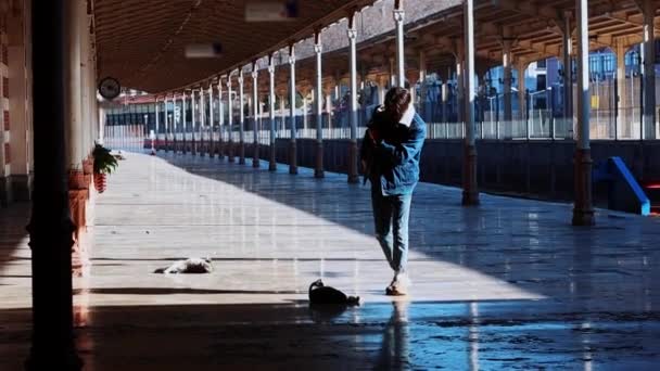 En ung man resenär promenader på friluftsstationen - petting en katt — Stockvideo