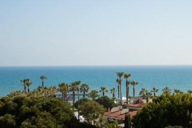 Mavi deniz, berrak gökyüzü ve tropikal ağaçlar