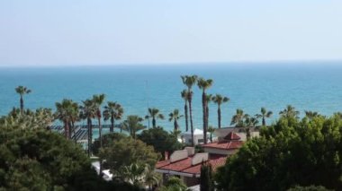 Mavi deniz, berrak gökyüzü ve tropikal ağaçlar