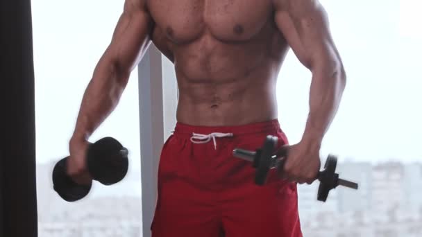 运动训练- -赤身裸体的男人用哑铃训练双手肌肉 — 图库视频影像
