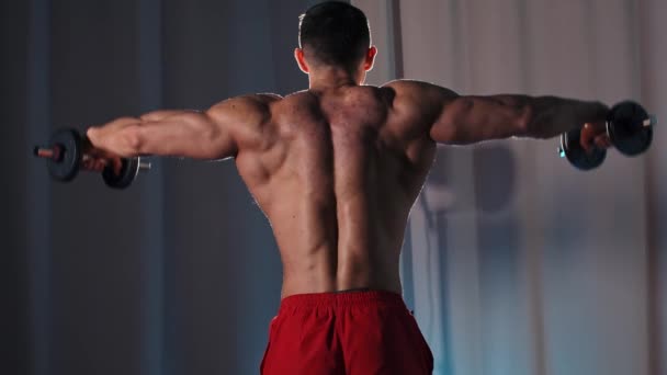 Entrenamiento deportivo - hombre atlético sin camisa que entrena los músculos de sus manos con las mancuernas - vista desde la espalda — Vídeo de stock