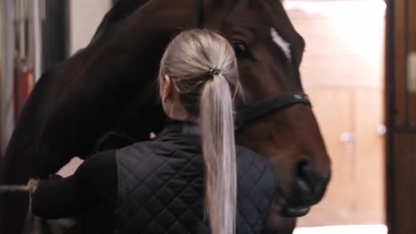 Женщина работает с коричневой лошадью на ферме — стоковое видео
