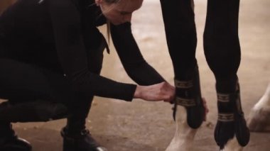 Çiftlikteki at bacaklarına koşum takımı takan kadın.