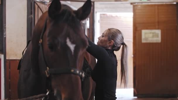 Kobieta z kucykiem zakłada siodło na brązowego konia na farmie — Wideo stockowe