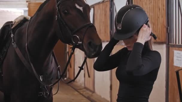 馬の女がヘルメットをかぶって馬に舐めようとする — ストック動画