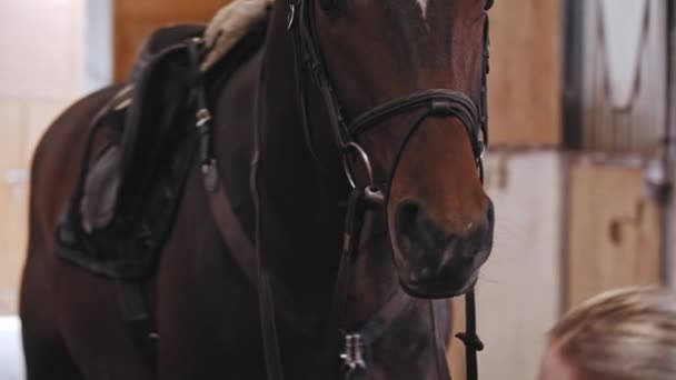 Cavallerizza sorridente indossa un casco di plastica in piedi vicino al cavallo — Video Stock