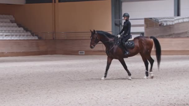 Une cavalière monte lentement un cheval sur une piste de courses de chevaux — Video