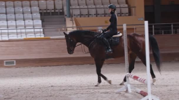 Uma cavaleira montando lentamente um cavalo marrom em uma pista de corrida de cavalos — Vídeo de Stock