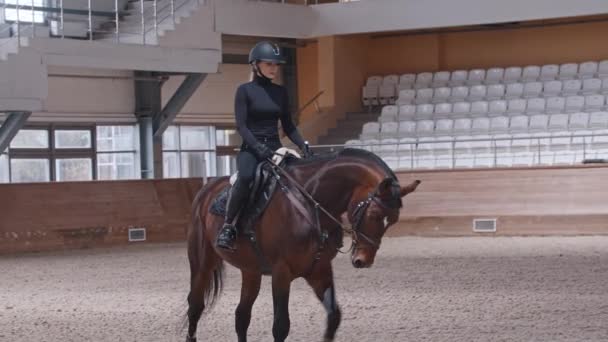 Jeźdźczyni powoli jeździ na brązowym koniu na arenie — Wideo stockowe