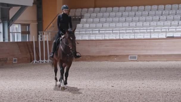 Egy lovas nő lovagol egy barna lovon az arénában. — Stock videók