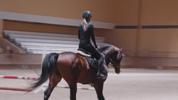 Een paardrijdende vrouw op een bruin paard in cirkels op de arena — Stockvideo