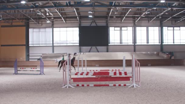 Equestrian - to kvindelige ryttere går på heste på arenaen – Stock-video