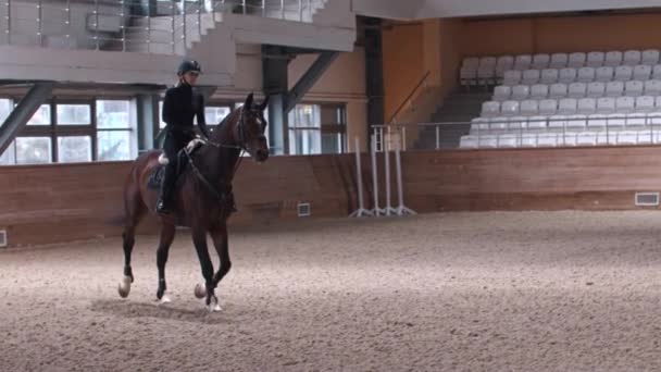 Equestre - uma mulher monta um cavalo no hipódromo — Vídeo de Stock