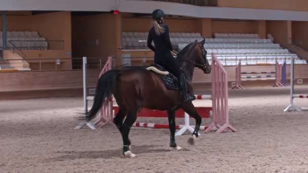 Équestre - une femme en vêtements noirs monte à cheval près des obstacles sur l'hippodrome — Video