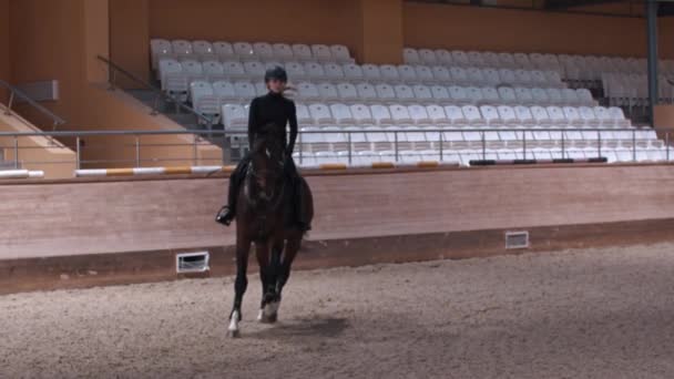 Jeździec - kobieta w czarnym ubraniu jeździ na brązowym koniu na hipodromie — Wideo stockowe