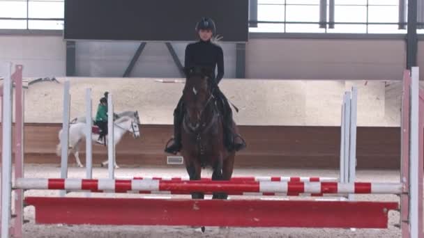 Esporte equestre - uma mulher em artes e roupas pretas pula em um cavalo sobre os obstáculos — Vídeo de Stock