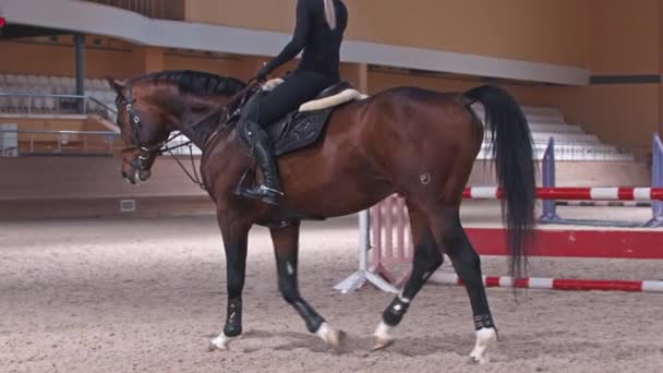 Конный спорт - женщина ходит по арене на лошадях — стоковое видео