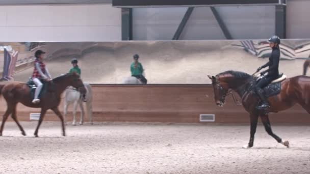 Sports équestres - une femme en tenue noire monte à cheval sur l'arène — Video