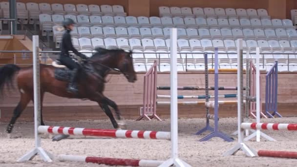 Esportes equestres - uma mulher de roupas pretas monta um cavalo na arena e salta sobre as arquibancadas — Vídeo de Stock