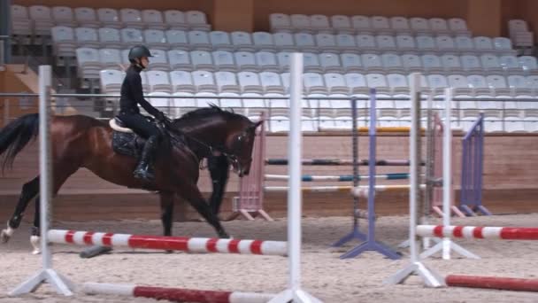 Sporty jeździeckie - kobieta w czarnych ubraniach jeździ konno na arenie i skacze przez barierę — Wideo stockowe