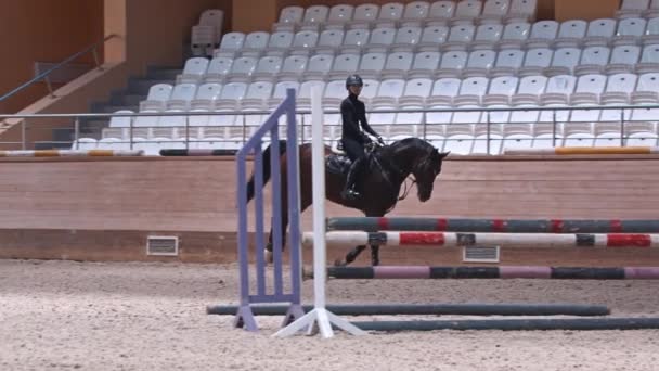 Esportes equestres - uma mulher de roupas pretas e um capacete monta um cavalo na arena — Vídeo de Stock