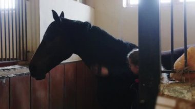 Binici- kadın siyah atı tarıyor