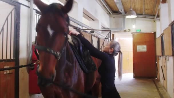 Esporte equestre - uma mulher em roupas pretas colocando uma sela no cavalo — Vídeo de Stock