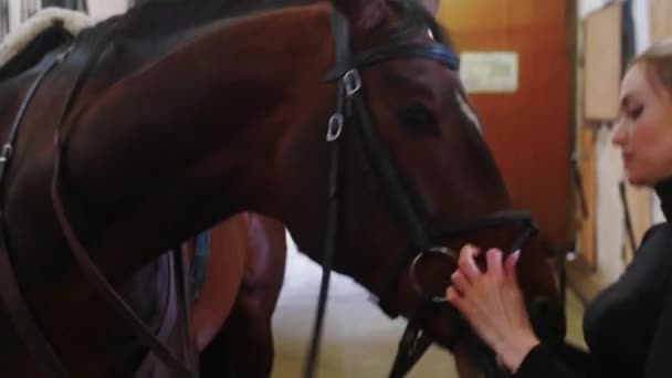 Deportes ecuestres - una mujer vestida de negro que pone un arnés del hocico del caballo — Vídeos de Stock