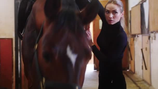 馬術競技-馬に黒い革の鞍を置く女性 — ストック動画