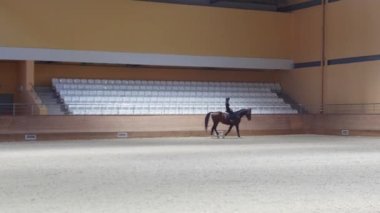 Equestrian - a woman slowly rides a horse on an empty arena