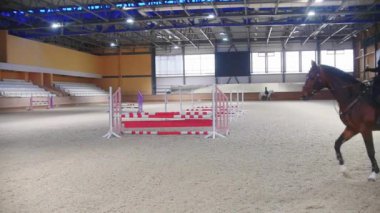 Equestrian - a woman rides a horse on a hippodrome with the white sand