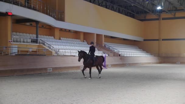 Equestrian - a woman in black clothes rides a horse on an empty arena in circles — Vídeos de Stock