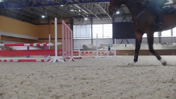 Equestrian - a woman rides a horse on an empty hippodrome on the white sand — Video