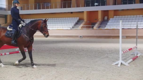 Equestrian - a woman in black clothes rides a brown horse on an empty arena near the barriers — Αρχείο Βίντεο