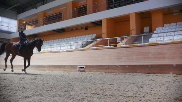 Equestrian sports - a woman galloping on the hippodrome field — Vídeo de Stock