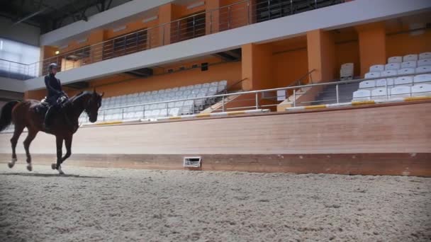 Equestrian sports - a woman galloping on the hippodrome field — Αρχείο Βίντεο