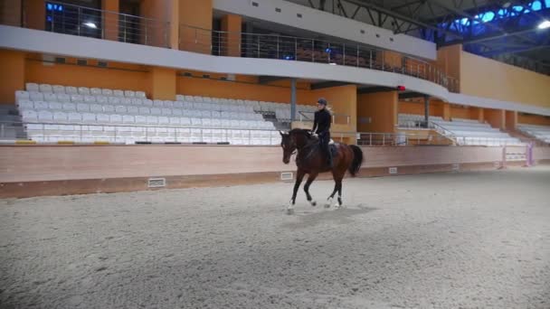 Equestrian sports - a woman galloping on the hippodrome field indoors — 图库视频影像