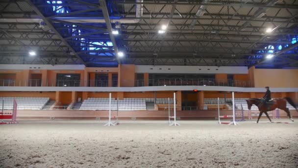 Equestrian sports - a woman in black clothes jumping over the series of barriers on the horseback — Wideo stockowe