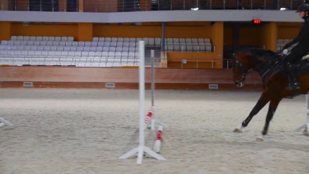Equestrian sports on empty arena - a woman jumping over the series of barriers on the horseback — Wideo stockowe