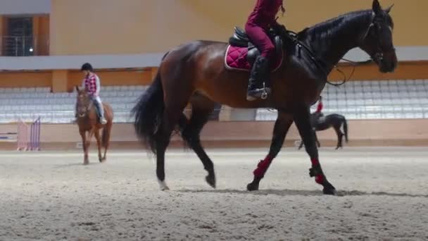 Equestrian sports on arena - people on horsebacks walking around — Vídeos de Stock